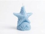 Sea Star Candle - Image 10