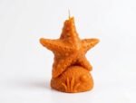Sea Star Candle - Image 8