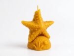 Sea Star Candle - Image 14