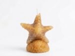 Sea Star Candle - Image 9