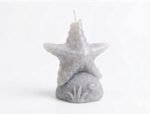 Sea Star Candle - Image 13