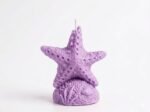 Sea Star Candle - Image 12