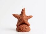 Sea Star Candle - Image 11