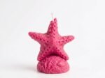Sea Star Candle - Image 4