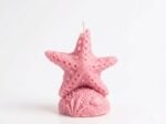 Sea Star Candle - Image 2