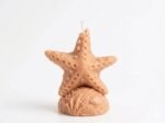 Sea Star Candle - Image 3