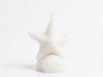 Sea Star Candle - Image 5