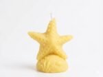 Sea Star Candle - Image 7