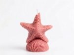 Sea Star Candle - Image 6
